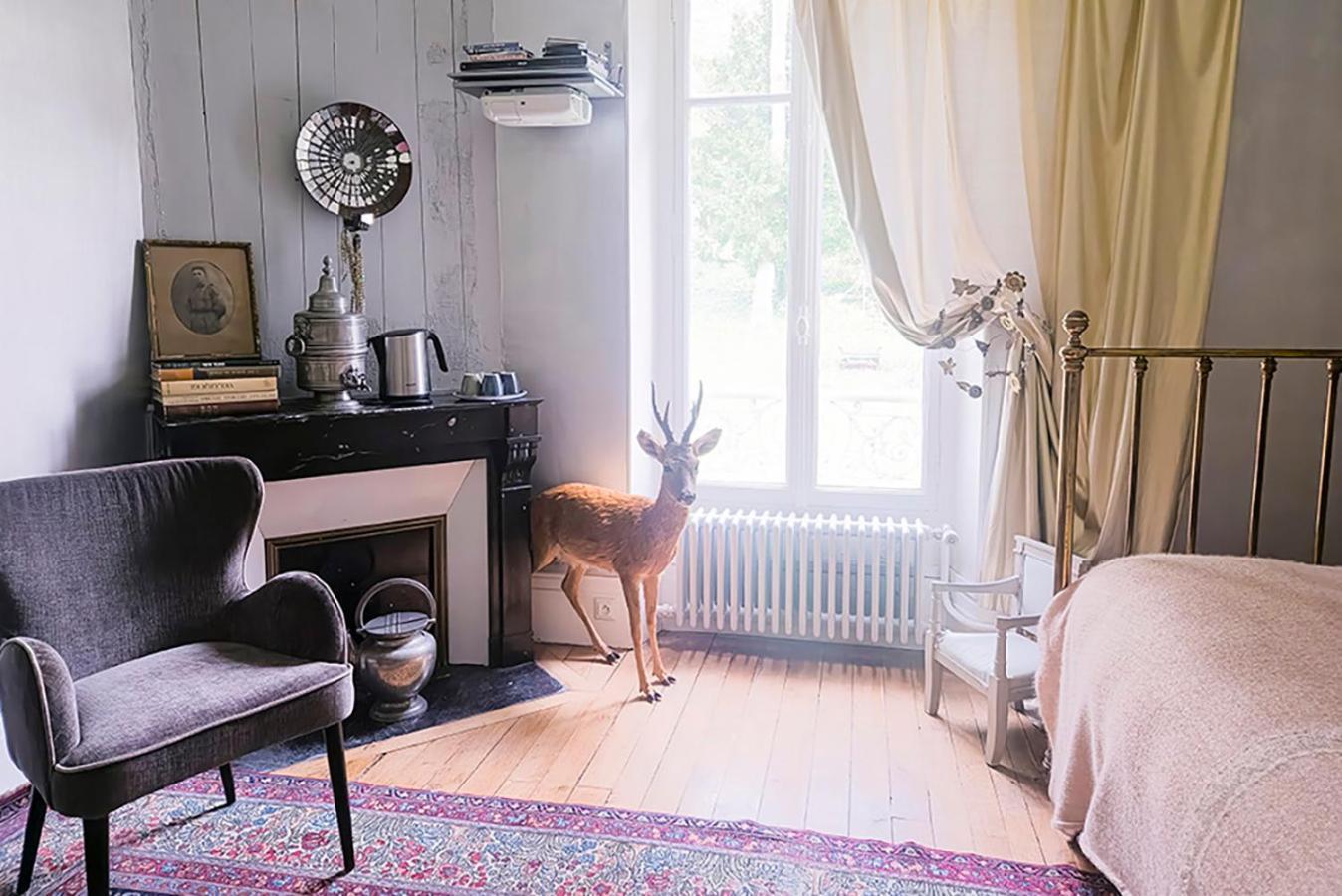 Maison D'Hotes Stella Cadente 프로뱅 외부 사진